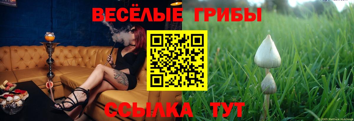 Киреевск  Галлюциногенные грибы MAGIC MUSHROOMS  Вход с VPN 