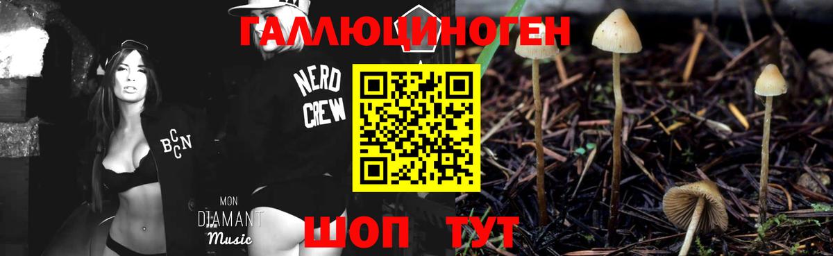 Псилоцибиновые грибы Cubensis Киреевск